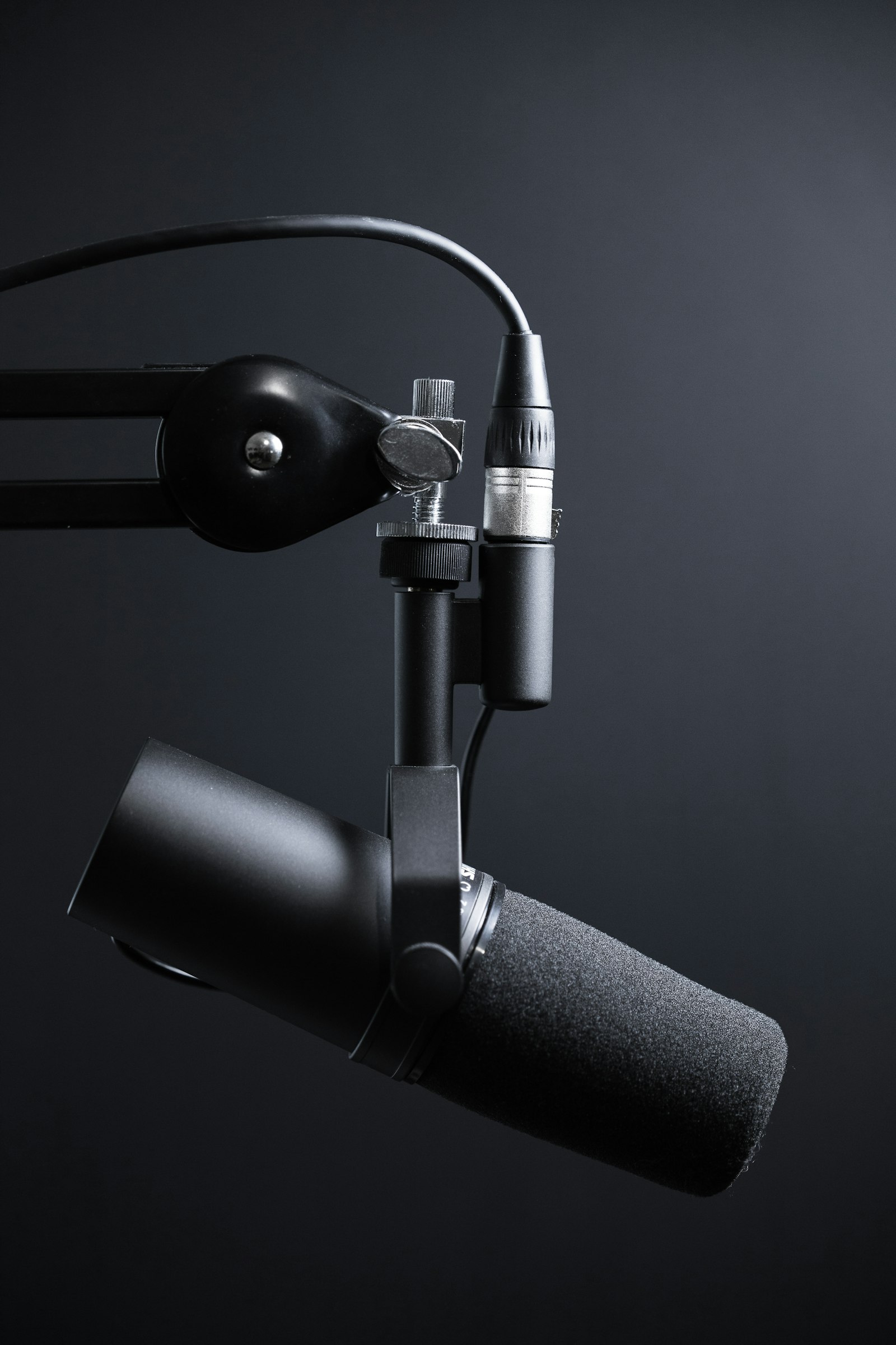A condenser microphone in a recording booth, used to capture a voice sample.
